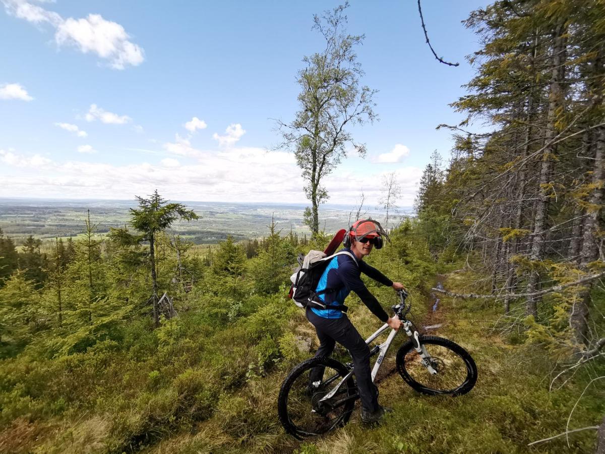 Idylliske Evjua Ved Mjosa Hotel Skreia Kültér fotó