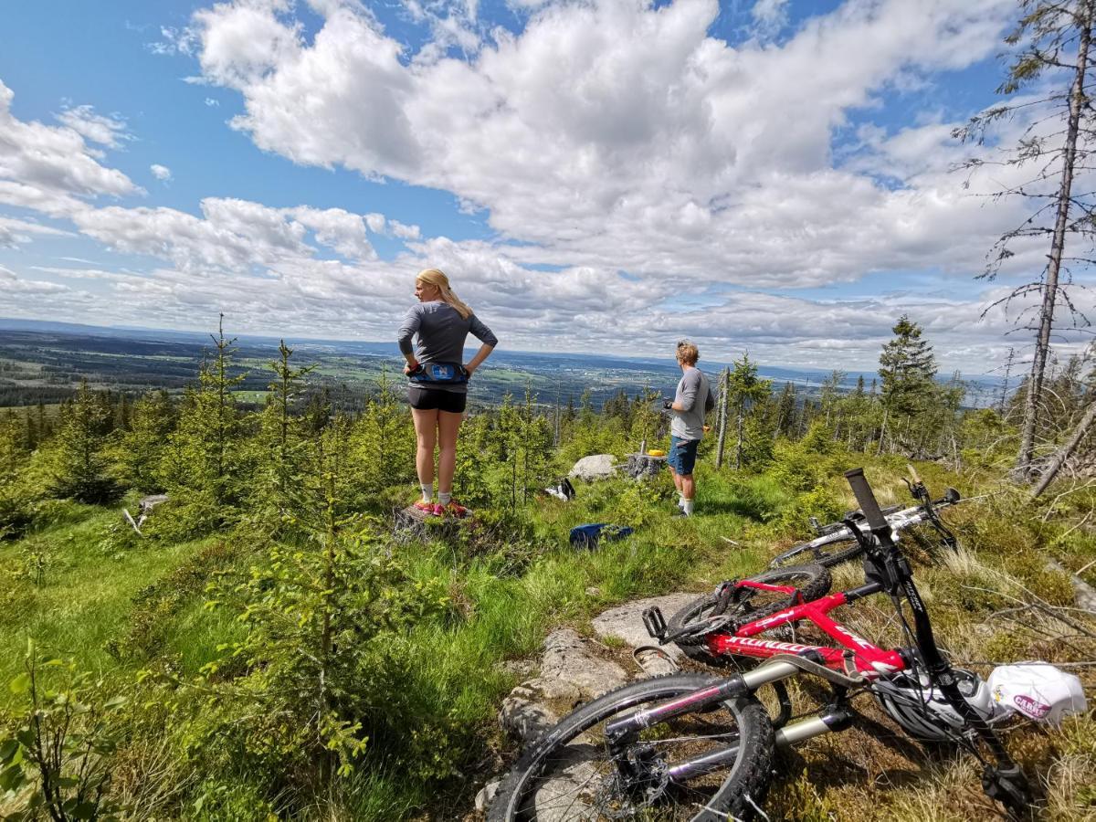 Idylliske Evjua Ved Mjosa Hotel Skreia Kültér fotó