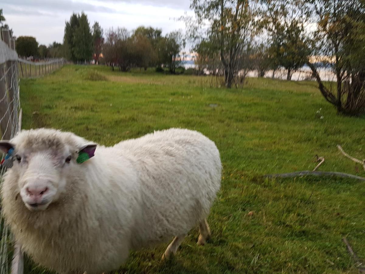 Idylliske Evjua Ved Mjosa Hotel Skreia Kültér fotó